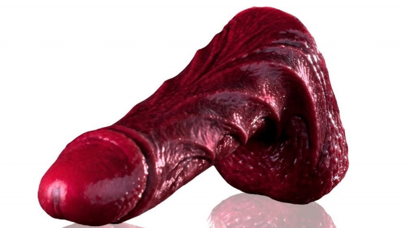 Fleshlight Drac Freaks Dildo | WKPBGO703